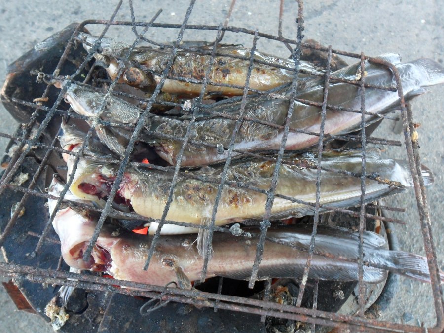 ย่างซะ....มาผิดที่แล้วน้องเอ๊ย :laughing: :laughing: :laughing: :umh: :umh: