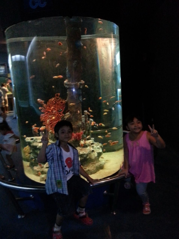 สนุกจิงๆ
