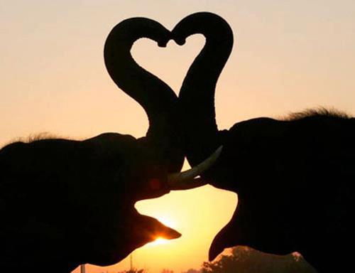  :love: