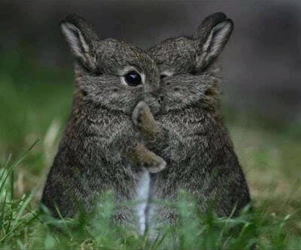  :love: