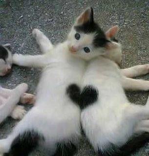  :love: