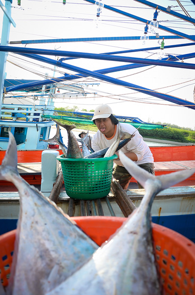พอถึงท่าเรือ.....ทำเป็นขยัน.... 

ที่กลางทะเลอ่ะ หลับอย่างเดียว....

แหม ไอเด็กเรือคนนี้นิ.....
