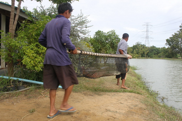 น้าเด่ ต้องเอาปลาไปพักฟื้นก่อน   :grin: :grin: :grin: