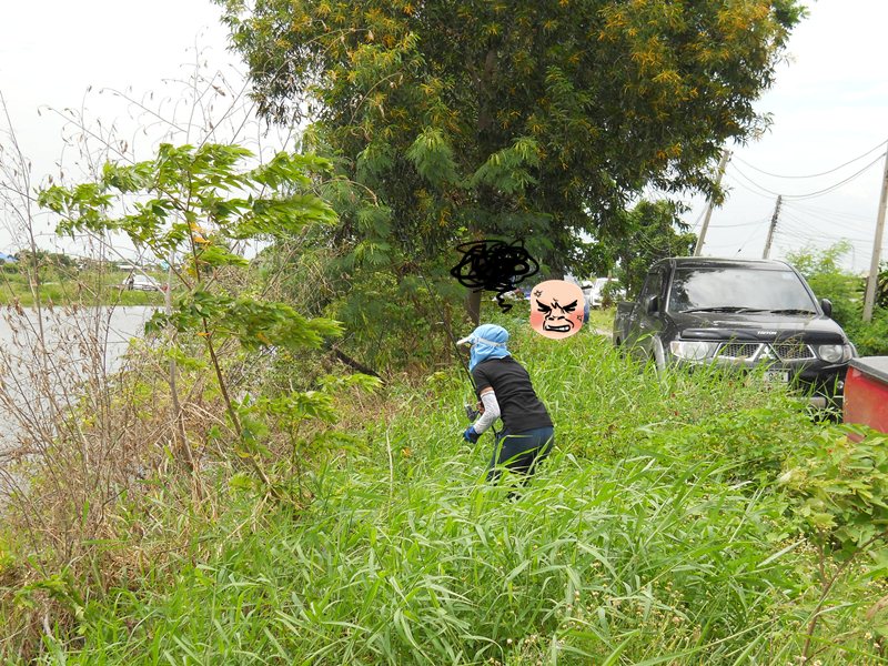 วันๆไม่ต้องทำอะไร ตีเบ็ด เกี่ยวยอดไม้ก็มีความสุข  :laughing: :laughing: :laughing: