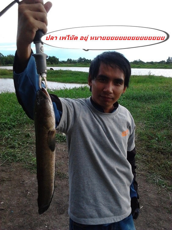 อีกรูปแล้ว กัน  :blush: