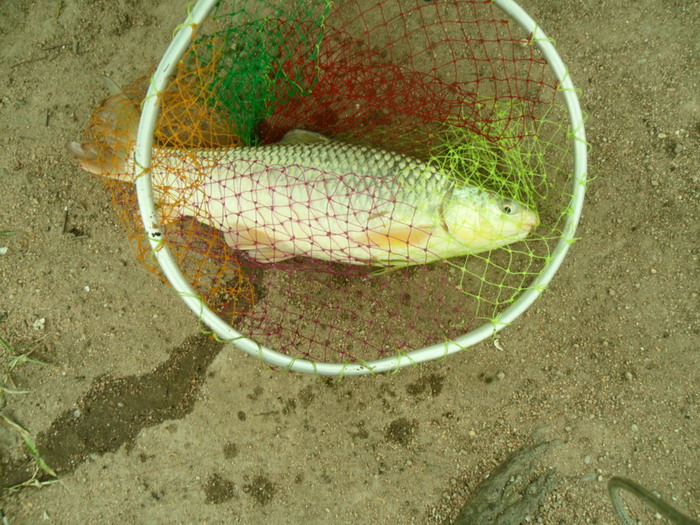 เรียบร้อยดีเลยครับ 
 :love: :love: