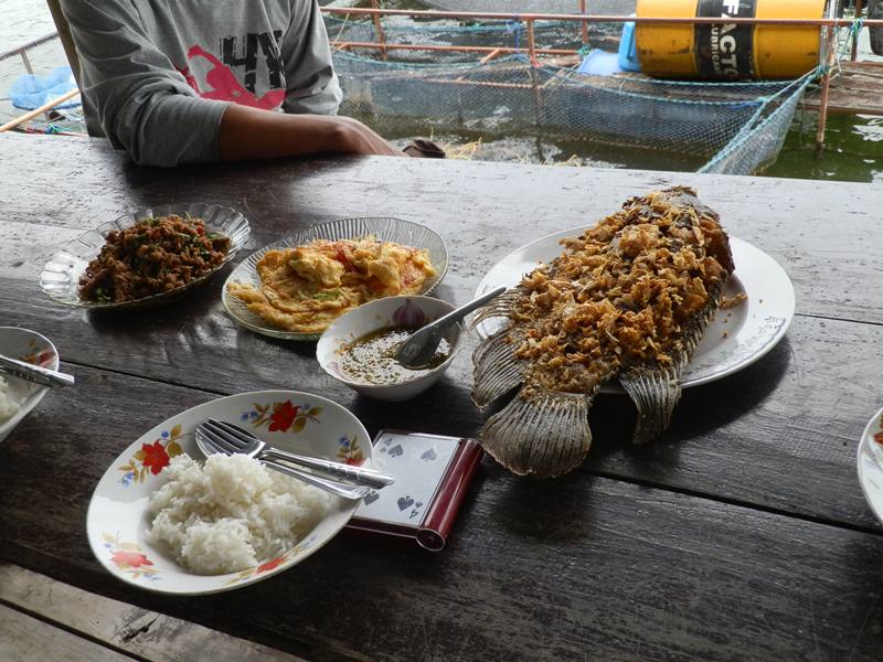 กลับมาพักกินข้าวกันครับ กล่องดงๆไม่เกี่ยวนะครับ  :grin: :grin: :grin: