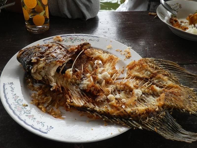 และแล้วด้วยความหิวของพวกเรา ก็จัดการกับปลาหมดเกลี้ยง