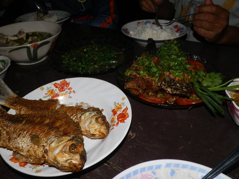 ตอนกลางคืนชั่งหนาวจับใจ มีเมนูปลากะมังทอดกระเทียม อร่อยมาก ปลาคัง พัดช่า ปลาช่อนลุยสวน