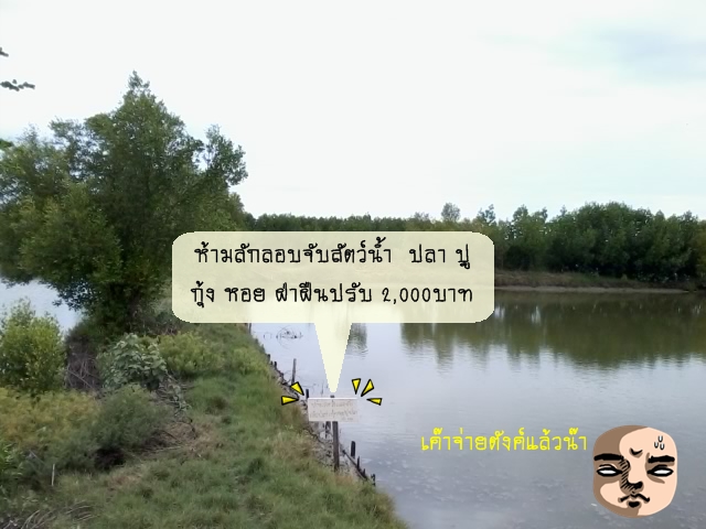 วันนี้โชว์มุมหมายครับ ท้ายบ่อมองไปทางซ้าย

 :laughing: :laughing: :laughing: :laughing: :laughing: