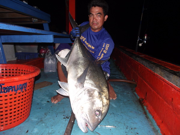 KRABI GT JIGGING AND CASTING TOUR คืนเดียวก็เสียวได้