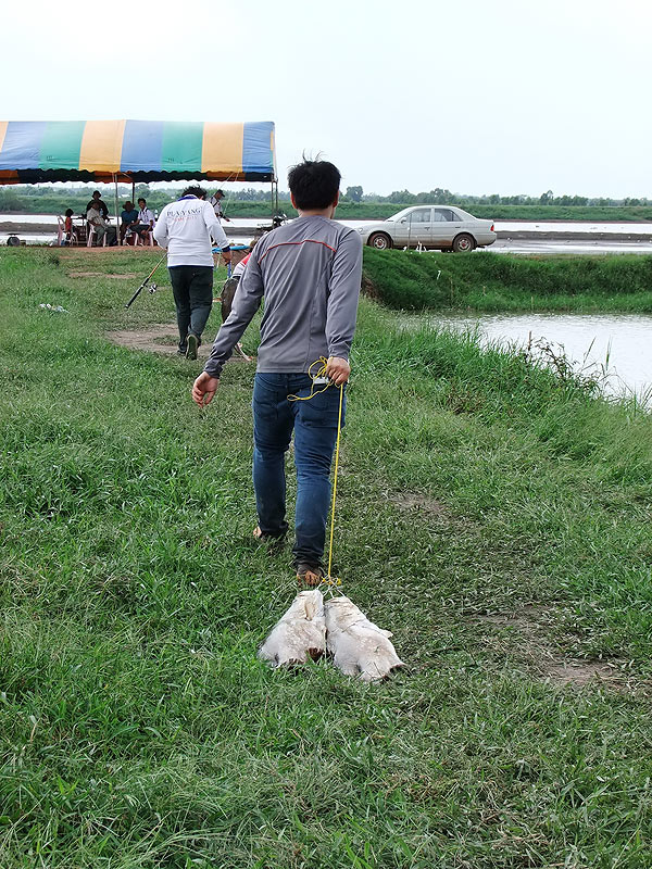 [b]ดูจิ ขอดเกล็ดไปในตัวเลย อ่ะ อิอิ[/b]
 :laughing: :laughing: :laughing: :laughing: :laughing: :la