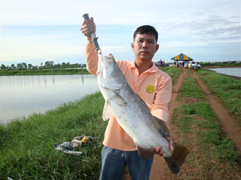  [b]นี่ตัวแรกนะครับ ตัวที่ 2 เด็ดกว่านี้ แกบอก :laughing: :laughing: :laughing: :laughing:[/b]
