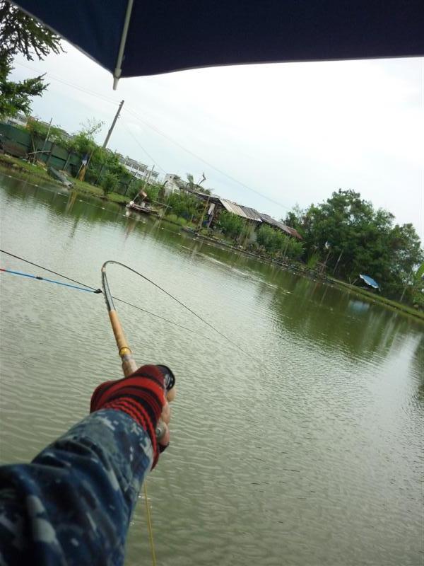                                       แรงสดจริงน๊ะแก............... :cheer: