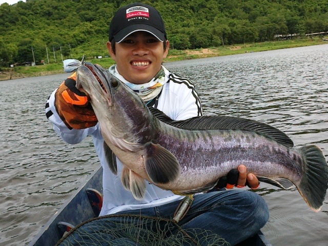 [q][i]อ้างถึง: กิ้งก่าทอง posted: 02-09-2555, 21:15:00[/i]

[q][i]อ้างถึง: purerick posted: 02-09-