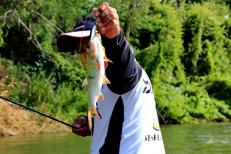  [b]กัดเหยื่อ Rapala SSR 7[/b]  :love: