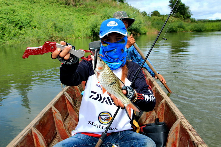  [b]ตัวนี้กัดเหยื่อ Rapala Flatrap 08 [/b]   :cheer:

............................................
