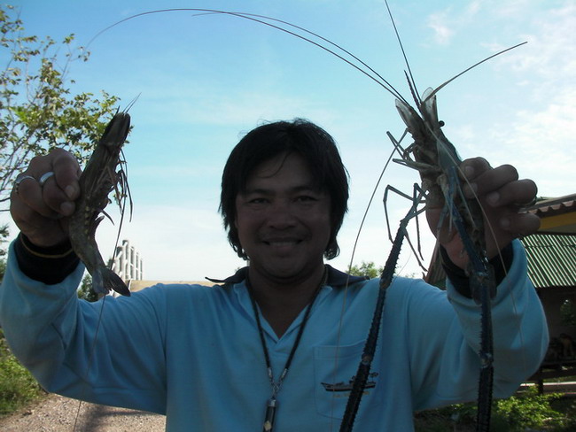 ทำไปทำมาได้กุ้งแทน...............อิอิอิ :laughing: :laughing: :laughing: :laughing: :laughing: :laug