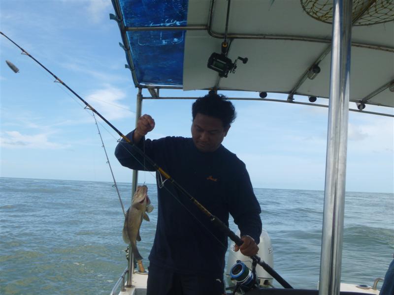 [q][i]อ้างถึง: F24 posted: 10-09-2555, 00:53:51[/i]

 :cheer: :cheer: :cheer: :cheer:
Fishn2gthr4