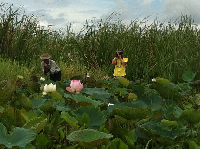 แล้วก็ไปจะเอ๋กับ เรือน้าวอแว กับ น้าเนต :laughing: