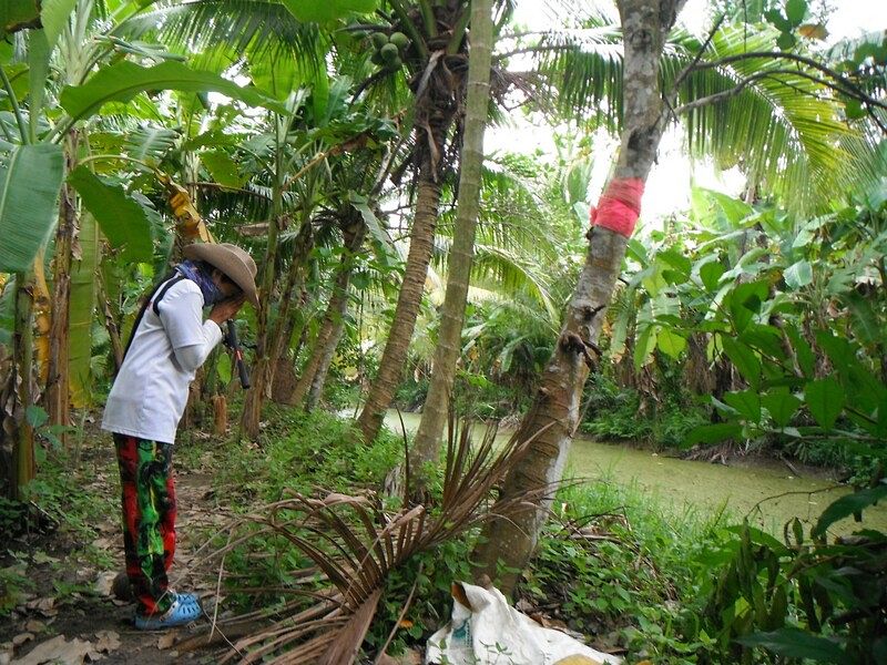                                  สงสัยคงต้องพื่ง บารมีของ เจ้าแม่ขนุน เหมือนที่อีตาดุ่ย  กะ อีตาสามี