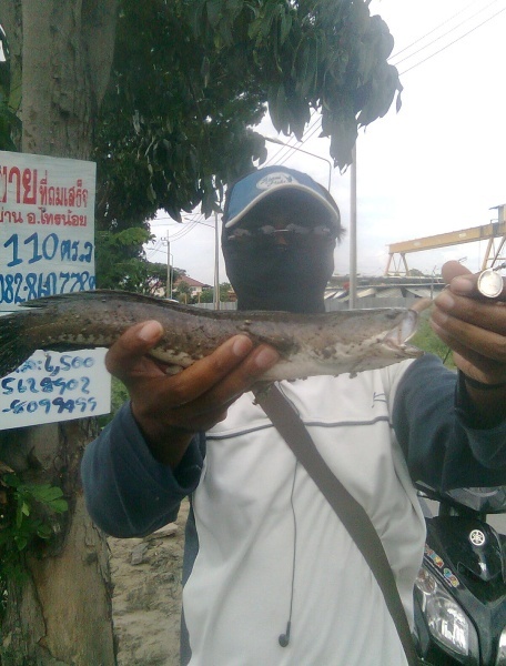 ...(เอาป่ะ)...ไม่ต้องมาให้เลยไม่เอาแล้วงอน... :angry: