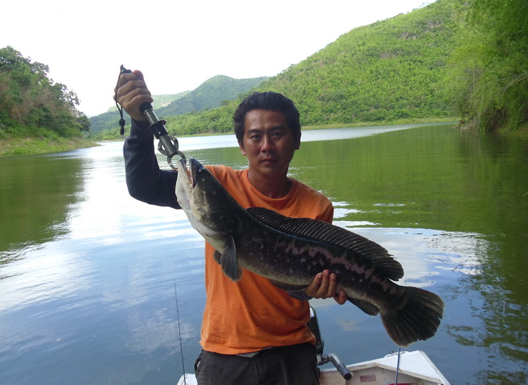 ตัวนี้ไม่ธรรมดาจริง ๆ :smile: :smile: