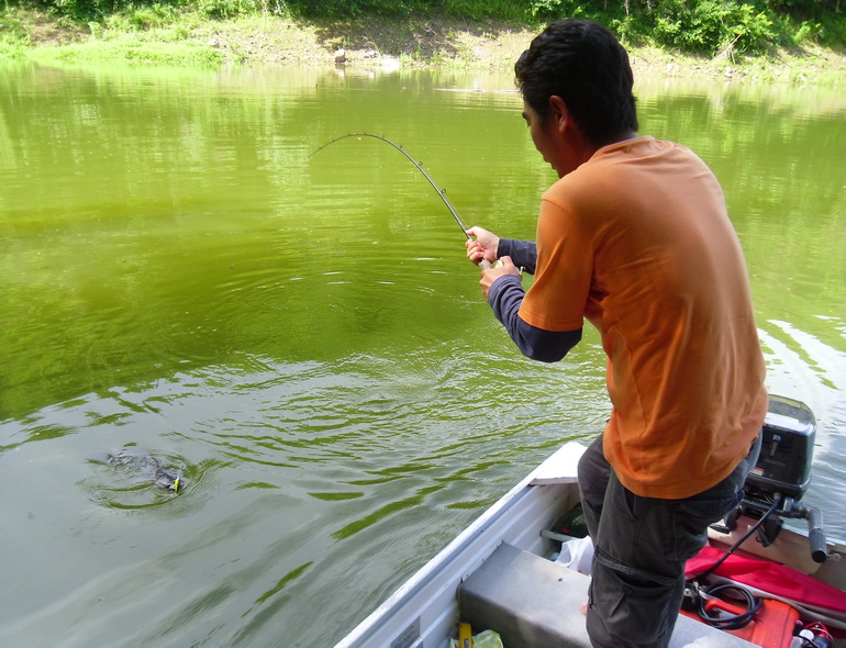 เหมือนเดิมเห็นเรือ สังกะสี แล้วตกใจ