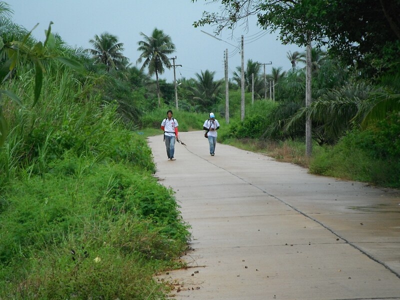                              กว่าจะเดินกลับกันมาได้...สงสัยปลาจะหมดทั้งชุมพรแล้วมั้ง... นั่นมีแอบซ่อ