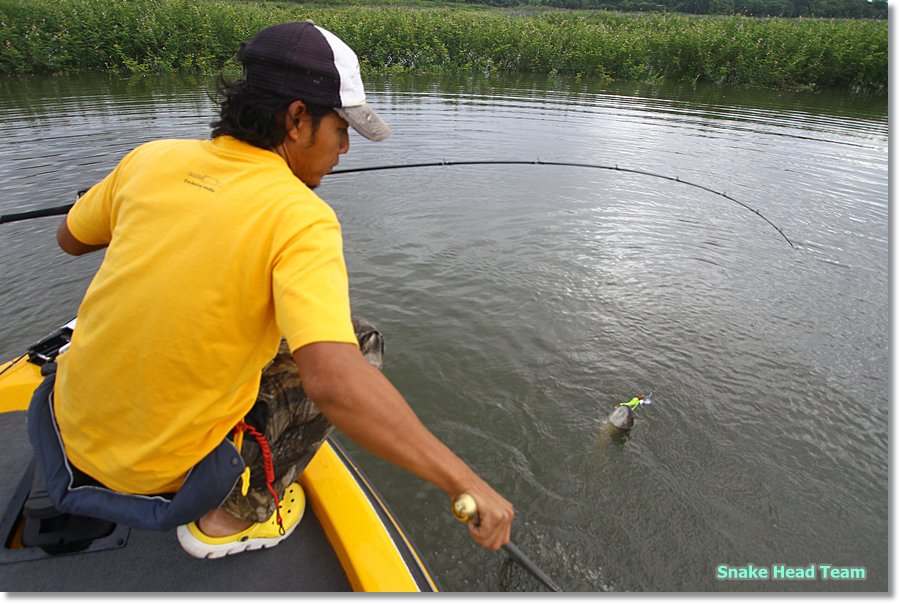 [q][i]อ้างถึง: fishingjoke posted: 12-09-2555, 11:10:44[/i]

+++++ครับ แต่ละรูป เทห์จัง :smile: :s