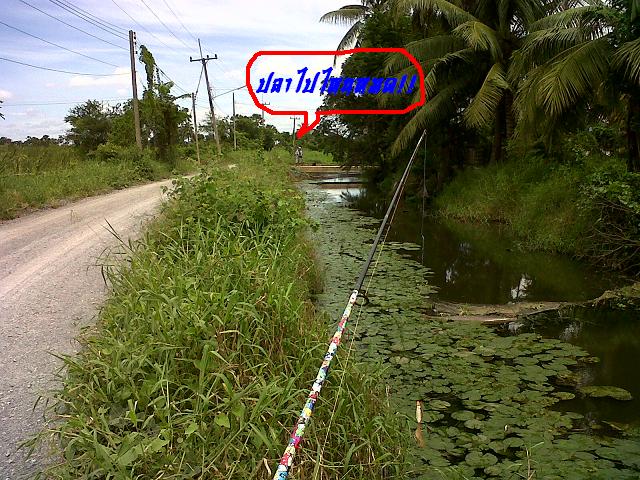+++ พยายามเข้านะ บอกตัวเองด้วย +++

  :wall: :wall: :flag: :flag: :wall: :wall: 