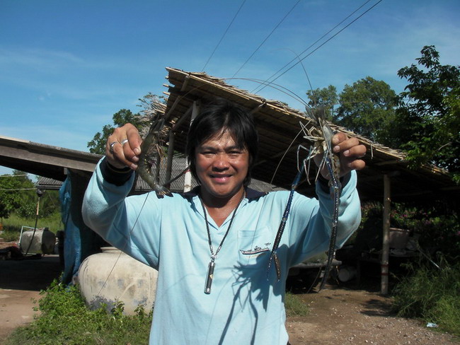 กุ้งใหญ่ๆโดนแปรรูป......555555
 :laughing: :laughing: :cheer: :cheer: :cheer: :laughing: :laughing: