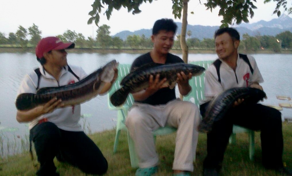 ใครใหญ่กว่ากัน 
:grin: 
 :grin: :grin: