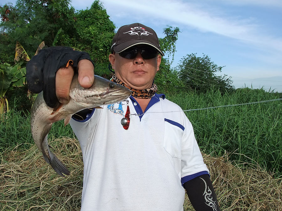 [b]นึกว่าของผู้ใด๋ ที่แท้ก็ คุณพ่ออออทวีปลายาง นี่เอง อิอิ[/b]
 :cool: :cool: :cool: :cool: :cool: 