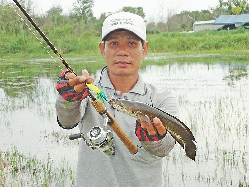 พี่ทุย..ตัวมันใหญ่..เกิ๊น !!!   :laughing: :laughing: :laughing: