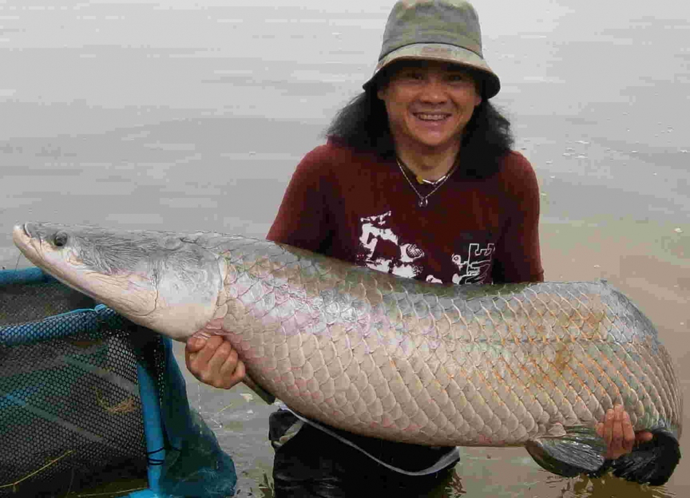 ขอจบวันพักผ่อนตกปลา ที่ thailand ไว้แค่นี้ก่อนน่ะก๊าบ น้า๚๚ โอกาศหน้า จะลงตกปลา Arapaima in thailand