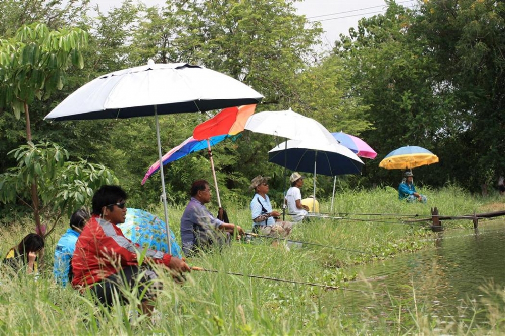 บรรยากาศด้านท้ายบ่อครับ ปลาใหญ่ขึ้นแถวนี้แหละครับ