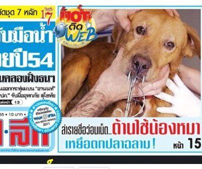 เรื่องเก่าเล่าใหม่