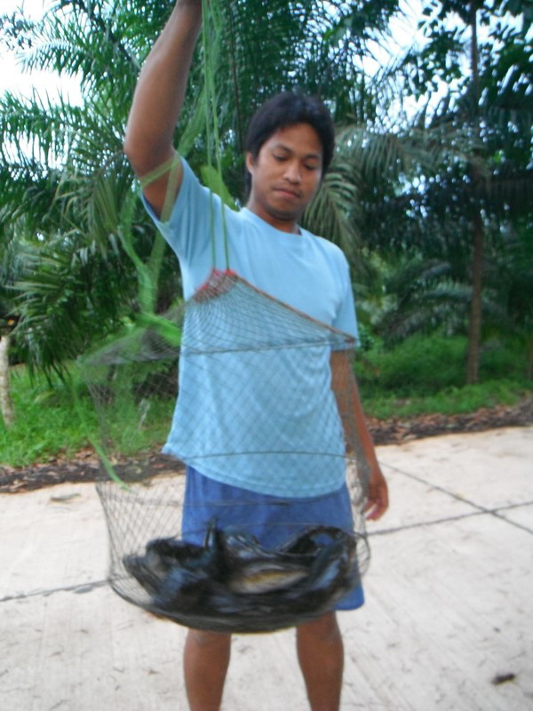 [q][i]อ้างถึง: orton posted: 18-09-2555, 22:50:43[/i]

++++++++++ตามชม ค้าบน้าฉาม :laughing: :laug