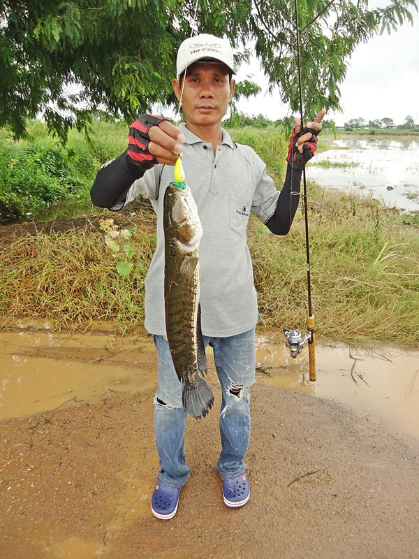แยกกัน..ไปตีคนละฝั่ง ไม่นานเท่าไหร่ พี่ทุย..จัดปลาไซด์ ก่อนเพื่อนเลย ครับผม !!!   :ohh: :ohh: :love: