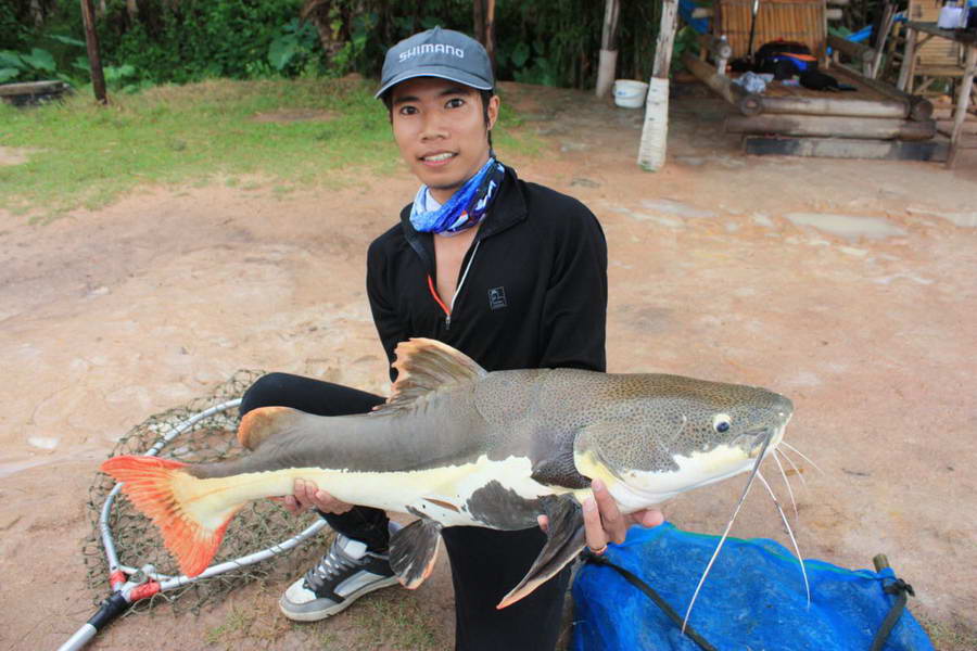ตัวนี้นี่เอง  :cheer: :cheer: :cheer: