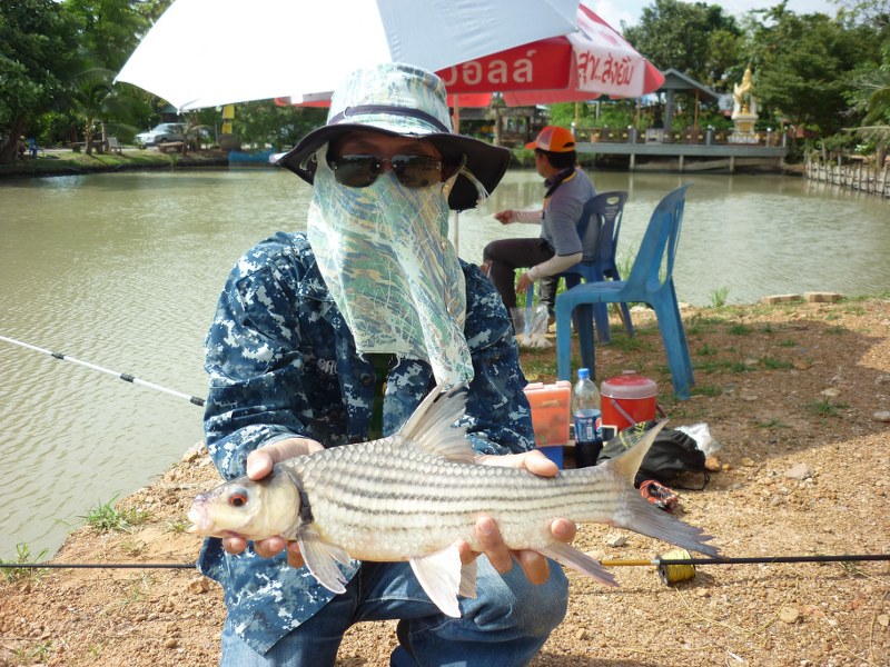                                                                                               ผมเรีย