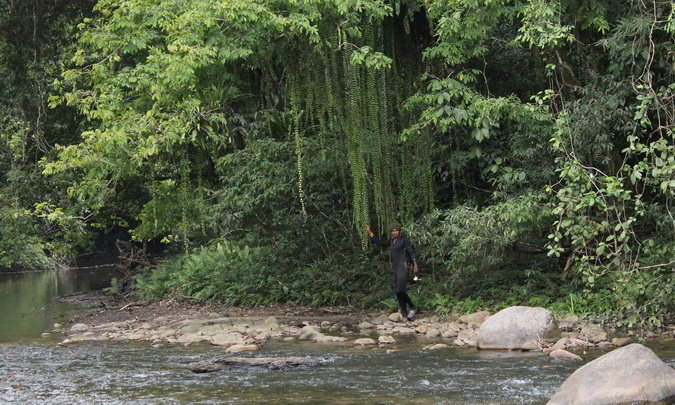 แต่ของป่าต้องอยู่ในป่าครับ    :cool: :cool: :cool: