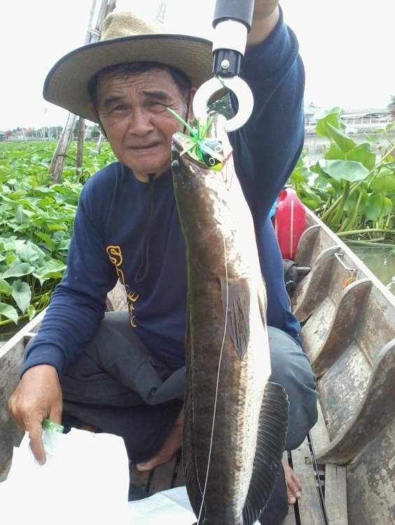 กดกบป๋าสีเขียวข้างเหลือง แต่เป็นของตาเรดตัวนี้ :laughing: :laughing: