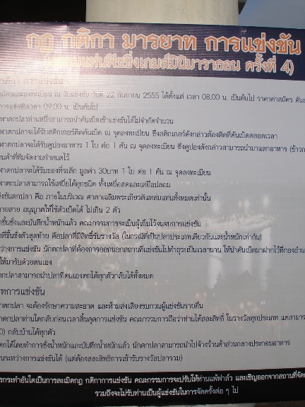 กติกางานปีนี้