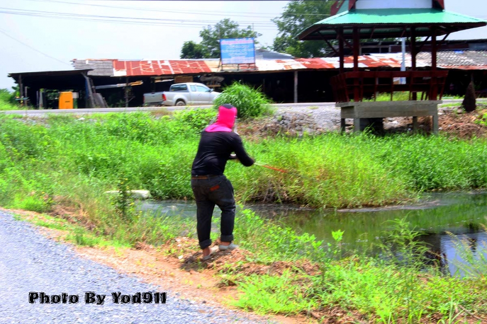 ตากล้องมือใหม่สดๆร้อนๆ :laughing: :laughing:ไม่ตกปลาแล้วเริ่มสนุกกับการถ่ายรูป :laughing: :laughing: