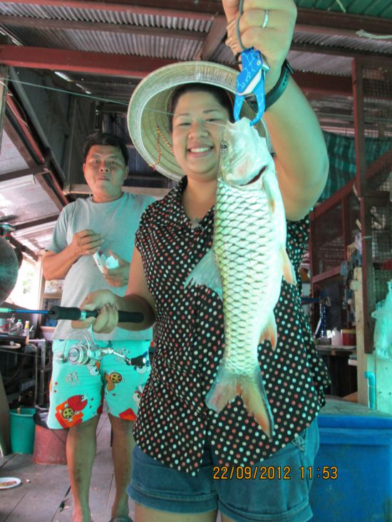 ผบ.น้าอ้อมก็จัดปลาแปลกมาแล้วครับ  กระสูบกินกุ้งซะงั้น  ได้รางวัลไปเป็นคนแรกครับ
 :grin: