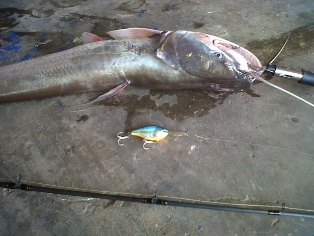  :grin: :grin: :grin: :grin: