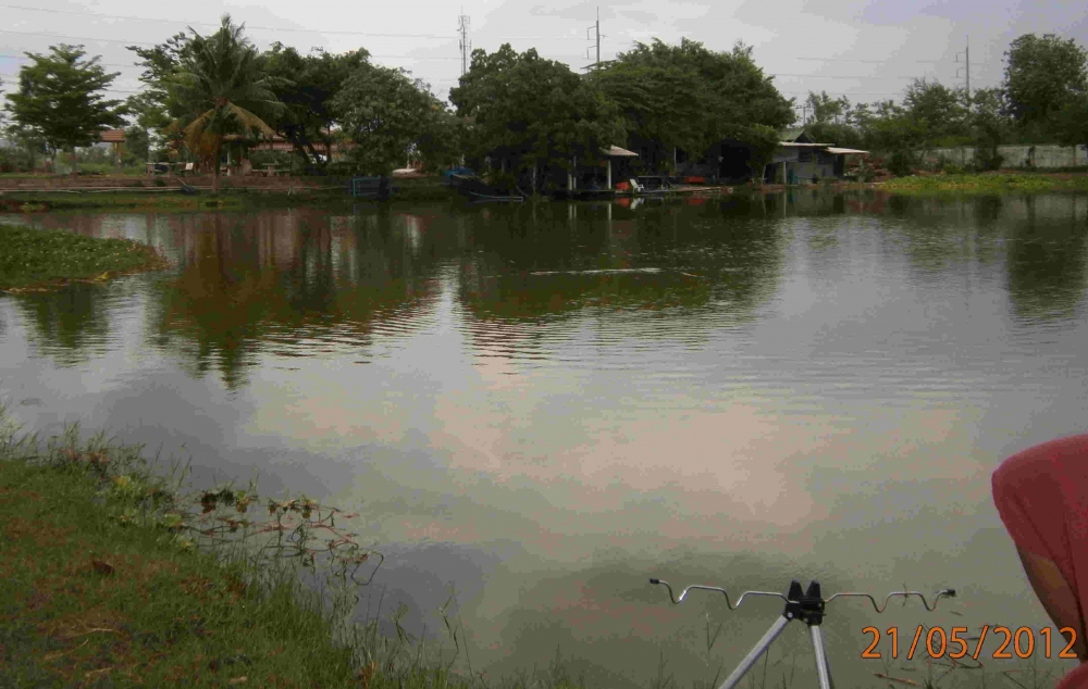 รูปสุดท้ายแล้วครับของบ่อนี้ ไปต่อกันบ่อ ที่ 2 เลยครับ chaam fishing park :smile: :smile: