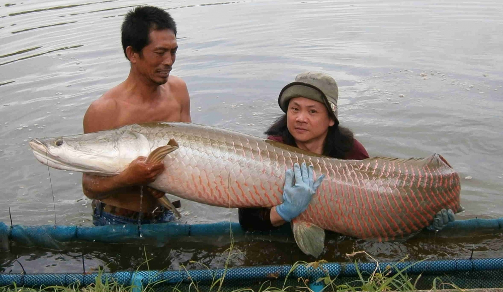 บ่อ ที่ 2 เลยครับ chaam fishing park 
เหมือนเคยครับไปคนเดียว แต่ปลากินดีมากครับ ขอลงรูปแต่ตัวใหญ่๚๚